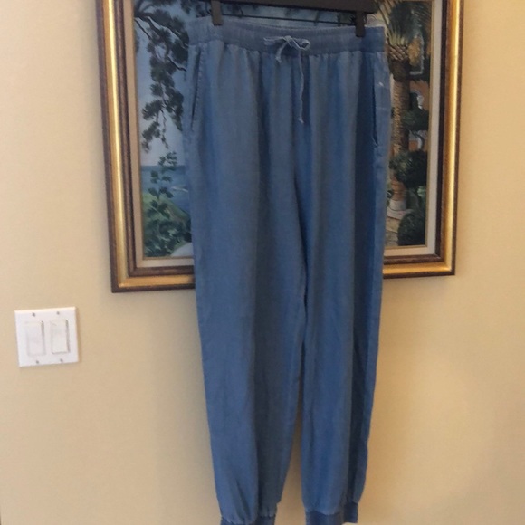 ✈️Walter Baker Sophia Medium Wash lightweight silky feel denim joggers - Picture 2 of 10